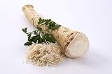 Meerrettich | Kren | Horseradish - Frische Stangenware...