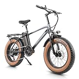 E Bike Herren Elektrofahrräder Für Erwachsene, 18Ah/48V Akku Bis zu 120km, Ebike 250W 85N.m Motor, 20 * 4.0 Zoll, 7-Gang Getriebe, LCD-Display, All-Terrain E Fatbike für MTB, Stadtpendler & Wildn