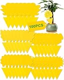 Acual Trauermücken Bekämpfen,Gelbtafeln Gegen,Gelbsticker trauermücken 100 Stück,Hochwirksame Fliegenfalle,Sicher Geruchlos Klebefalle,Fruchtfliegenfalle für Innen-Außenbereich, Pflanzen