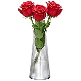 KONZEPT Glasvase 25cm Hoch, Blumenvase modern, Vase rillen,...