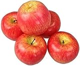 GMMH Künstlicher Deko Apfel, 5 Stück (Rot, 20-40 g/St) Lebensechtes Plastikobst, Plastikfrucht, Kunstobst, Frucht, Dekoration, Schaufenster, Haushalt, Küche, Party, Hotel, 5 Pack