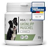 ReaVET Grünlippmuschel Extrakt Pulver 100g für Hunde & Katzen | Grünlippmuschelpulver Hund, Grünlippmuschelextrakt hochdosiert nach behandelter Arthrose Arthritis