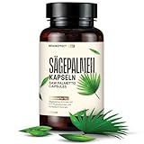 BrainEffect Sägepalmenextrakt (280mg pro Tagesdosis) - 180 Vegane Kapseln, German Quality - 5% Phytosterole = 14 mg - Kürbiskern-Extrakt 200 mg