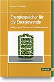 Energiespeicher für die Energiewende: Auslegung und Betrieb von Speichersystemen