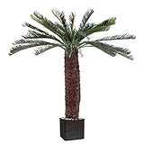 Artificielles.com - Künstliche Cycas-Palme im Topf, Höhe 200 cm, Grün, Höhe: 200 cm, Farbe: Grün