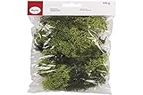 Rayher 8503211 Islandmoos, hellgrün, Btl. 100 g, echtes...