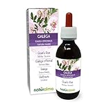 Geißraute (Galega officinalis) Kraut mit Blüten Alkoholfreier Urtinktur Naturalma - Flüssig-Extrakt Tropfen 120 ml - Nahrungsergänzungsmittel - Veganer