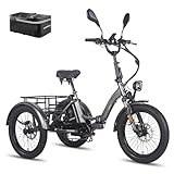 Fafrees 2025 F20 Mate E-Bike 3 Rad Klapprad 48V 21Ah Akku 115KM [ Offiziell ] E Bike Damen Hydraulische Scheibenbremsen, Elektrofahrräder 65N.m, Fat Ebike Herren 20 Zoll, Lastenfahrrad IPX5 - Update