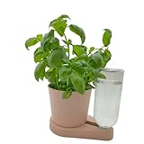 greevi kräuterheld 3er Set | Kräutertöpfe mit Selbstbewässerungssystem | Made in Germany | Kunststoff (Bio-Kunststoff, rosa)
