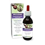 Rosskastanie (Aesculus hippocastanum) Rinde und Samen Alkoholfreier Urtinktur Naturalma | Flüssig-Extrakt Tropfen 120 ml | Nahrungsergänzungsmittel | Veganer