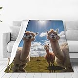 Alpaka, Mehrzweckdecke, ultraweiche Micro-Fleece-Decke für Bett, Sofa, Camping, gekühltes Kino oder Reisen, 152,4 x 127,7 cm