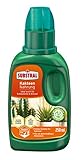 Substral Kakteen Nahrung, Flüssigdünger für Kakteen, Sukkulente und Bonsai mit natürlichen Biostimulanzien, 250 ml, Grün