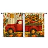 LKW-Küchenvorhänge, rustikaler Kürbis, Sonnenblume, Herbstrot, kurze Vorhänge für Fenster, Fensterdekoration für Waschbecken, Esszimmer, Badezimmer, 106,7 x 114,7 cm