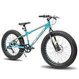 Hiland Kinder Fat Tire Fahrrad Fettrad Kinderfahrrad 7-Gang, Doppelscheibenbremse, 20 Zoll, Kinder Mountainbike MTB für Jungen Mädchen Grün