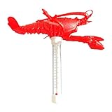 Digitales Thermometer, Tiere, für Whirlpools, großes Thermometer, für Pool, Zubehör, Haus, Innenbereich, Außenbereich, Spa, heiße Quelle, Badewanne, Familie, See, Badewanne