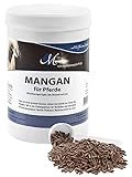 MIGOCKI Mangan für Pferde Ergänzungsfuttermittel pelletiert 750 g