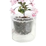Generisch Durchsichtiger Pflanzenkübel,Doppelwandiger Orchideentopf mit Wasserspeicher - Blumenübertopf - für Wohnzimmer, Büro, Balkon & mehr