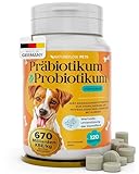 Natureflow Pets - Probiotika Hund - Darmkur bei Durchfall, Blähungen & Sodbrennen - Darmflora aufbauen & Magen-Darm stärken Präbiotika für Hunde - Magenschutz & Darmwohl mit Präbiotikum