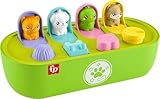 Fisher-Price Baby Spielzeug FP Pets Feinmotorisches Pop-Up mit Aktivitäten und Geräuschen für Entwicklungsspiele Säuglinge ab 9 Monaten
