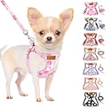 SlowTon Hundegeschirr mit Leine, No-Pull leichtes weiches Wildleder-Welpengeschirr mit Blumenmuster und Schnappschnalle, verstellbares Geschirr Hund für kleine und mittelgroße Hunde XS