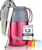 Milu® Thermobehälter 450, 650ml | Edelstahl Warmhaltebehälter | Essensbehälter | Speisegefäß Babynahrung | Essen warmhalten Behälter | Thermo Lunchbox | Müsli to go | Berry, 450ml