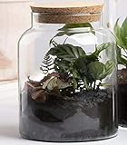 Halboffene Terrarienflasche, klein