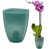 VERDENIA KAJA Orchideentopf – Minimalistisches Design – Leicht, für den Innenbereich, Hochwertiges Polypropylen, Transparente Oberfläche – Praktisch und Funktional – 12x12x17cm – Grün