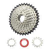 CYSKY 10 Fach Kassette 11-36T Fahrrad Kassette Kompatibel mit Shimano Sram Sunrace, passend für Mountainbike, Rennrad, MTB (Leichtgewicht) (11-36T)