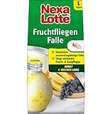 Nexa Lotte Fruchtfliegen Falle, 1 St, zum Abfangen von Frucht-, Obst und Essigfliegen, Gelb