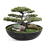 matches21 wetterfeste Pflanzschale für draussen - Dekoschale in schwarz marmoriert als Blumenschale - Garten Schale in 30 cm für Blumen, Bonsai oder Friedhof Grab-Schmuck