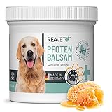 ReaVET Pfotenbalsam Hund 120ml für weiche Hundepfoten - Natürliche Hunde Pflege mit Sheabutter, Kokosöl & Bienenwachs, Pfotenpflege Katze, Pfotenschutz Creme, Zubehör Winter & Sommer