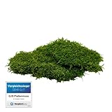 GJS Moos-Platten – Plattenmoos in 100g/200g/500g – echte, konservierte, Moos-Matten/Flachmoos zum Basteln, Deko-Moos, Moos-Bild, Moss-Wand (200g)
