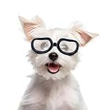 Enjoying Kleine Hundebrille Schutzbrille für Hunde Kleiner...