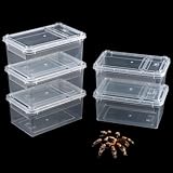 5 Stück kleine Reptilien-Terrarium-Zuchtbox, transparenter Schlüpfbehälter, Kunststoff-Futterbox für Gecko, Frosch, Spinne, Skorpion, Tausendfüßler, Insekten