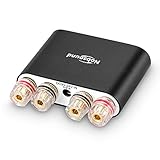 Nobsound NS-10G PRO Stereo Verstärker, Hi-Fi DSP 100W x 2 Bluetooth 5.0 Empfänger, 2.0 Kanal Power Audio Amplifier für Heimlautsprecher Upgrade Version Mini Digitalverstärker (Schwarz)