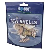 Hobby 40222 Sea Shells Set, M, M, 10 Stück