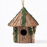 Premium Vogelhaus aus Holz, Zedernholz hängendes Vogelhaus mit Raubfischschutz, Nistkasten zur Wildvogelbeobachtung, Indoor Deko oder Outdoor Funktionelle Nutzung, ideal für Vogelbeobachter, Medium