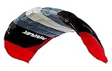 Wolkenstürmer® Paraflex Basic 2-Leiner Lenkmatte 2.1 SE (grau) – Flugfertiger Flugdrachen – Zweileiner Lenkdrachen mit Lenkstange und Dyneemaleinen
