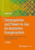 Stromspeicher und Power-to-Gas im deutschen Energiesystem: Rahmenbedingungen, Bedarf und Einsatzmöglichkeiten