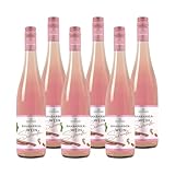 KATLENBURGER - Fruchtweinschorle Rhabarber | Natürlich-leichte und fruchtige Schorle aus Katlenburger Fruchtweinen. Leicht, spritzig und ideal für Sommerabende. Inhalt: 6x 0,75l mit 5% vol.