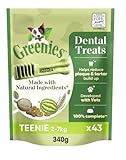 Greenies Dental Treats Original Teenie – Zahnpflegesnacks für sehr kleine Hunde von 2-7 kg – Hundeleckerli zur täglichen Zahnreinigung – 1 x 340 g