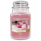 Yankee Candle Duftkerze Sweet Plum Sake | Große Kerze im Glas | Sakura Blossom Festival Collection | Brenndauer: bis zu 150 Stunden | Toll zum Verschenken