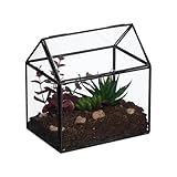 Relaxdays Pflanzenterrarium, Glas & Zinn, Deko Glashaus für Kakteen & Moos, Glaskasten für Fensterbank, schwarz