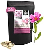 Cistus Incanus Extrakt | 40% Polyphenole | 240 Kapseln 400mg | Zistrose ohne Zusatzstoffe | hochdosiert vegan in Deutschland hergestellt (Kapseln 240)