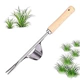 sinzau Edelstahl Unkrautstecher, Hand Weeder Werkzeug Gartengerät, Unkrautjäter Gartenarbeit Gabel mit Holzgriff für Graben, Jäten, Lösen, 32cm Lang