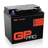 GP-PRO Gel-Batterie 12V 30Ah 53030 Motorradbatterie, wartungsfrei versiegelt vorgeladen, kompatibel mit Y60-N30L-A / SLA53030 / C60-N30-A / C60-N30L-A auch für Quad, Rasentraktor uvm.