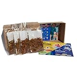 SENS Essbare Insekten Snack für Menschen, Geröstete Grillen und Mehlwürmer Protein Snack, Crunchy Party Mix, Insektennahrung Probierset, Party Challenge Geschenkidee