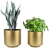 Vixdonos Große goldene Pflanzgefäße aus Metall, Aloe, Messington, dekorative Blumentöpfe mit Abflusslöchern (20,3 cm + 18,1 cm)