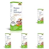 SUNLIFE Muskel- und Gelenkgel 1 x 100g - Muskel Gel zur Massage beanspruchter Muskulatur - wärmendes Muskelentspannung Gel für alle Hauttypen - schnell einziehender Wärmebalsam mit Menthol