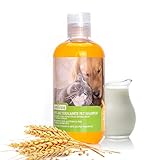 Nobleza Hundeshampoo gegen Juckreiz Milben Pilz, Sensitive-Shampoo Katze, Anti-Bakteriell, Lindert Hautreizungen, auch für Welpen und Kätzchen, flüssig, Zitronengras 250ml